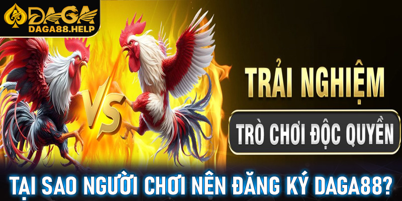 Tại sao người chơi nên đăng ký Daga88?