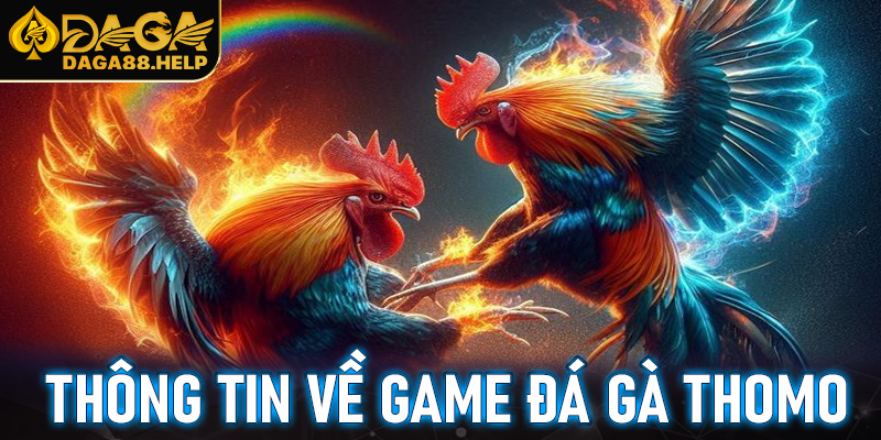Sơ lược các thông tin về game đá gà Thomo