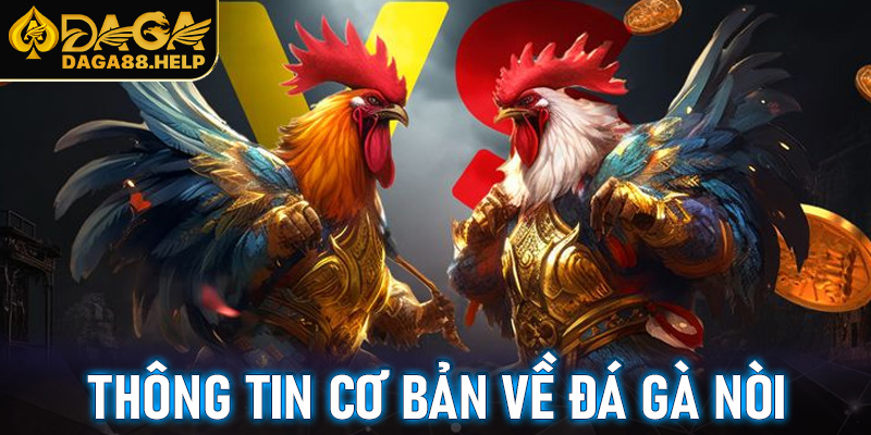Các thông tin cơ bản về đá gà nòi