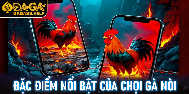 Một số đặc điểm nổi bật của chọi gà nòi trực tuyến