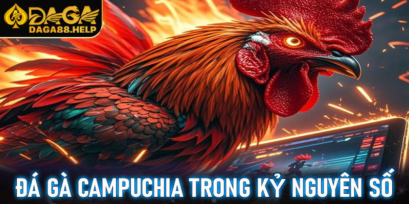 Đá gà Campuchia trong kỷ nguyên số