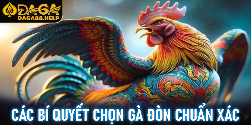 Các bí quyết chọn gà đòn chuẩn xác dành cho cược thủ tham gia