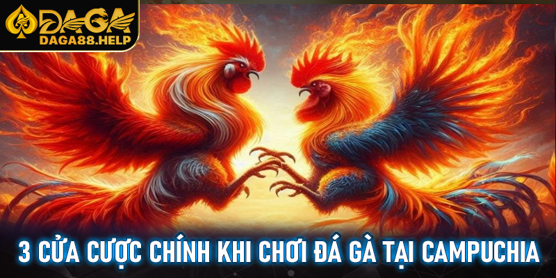 3 cửa cược chính khi chơi đá gà tại Campuchia